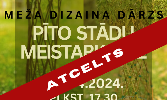 PĪTO STĀDU MEISTARKLASE