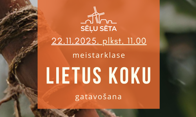 Lietus koka radīšanas meistarklase