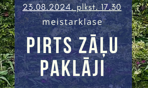 Meistarklase 